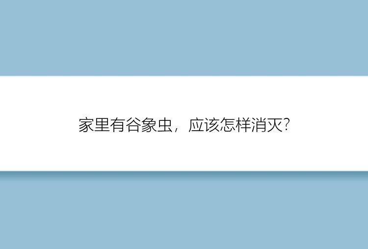 家里有谷象虫，应该怎样消灭？