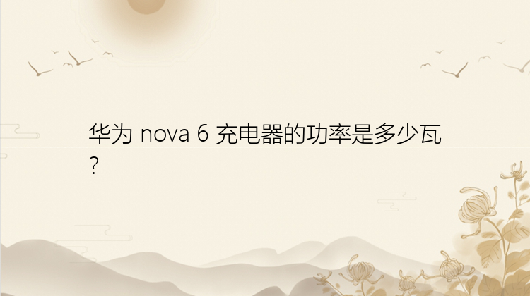 华为 nova 6 充电器的功率是多少瓦？