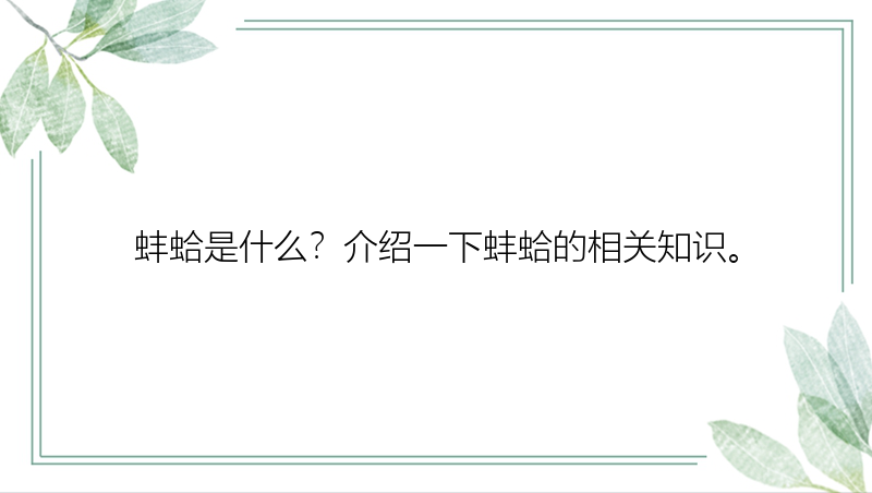 蚌蛤是什么？介绍一下蚌蛤的相关知识。