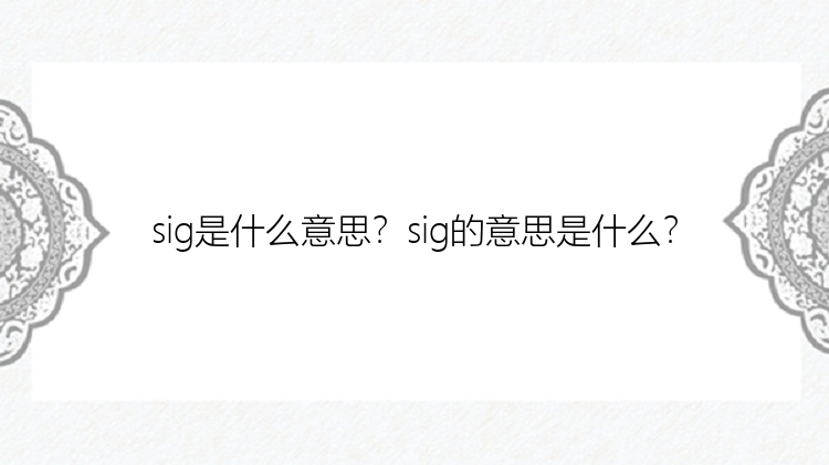 sig是什么意思？sig的意思是什么？