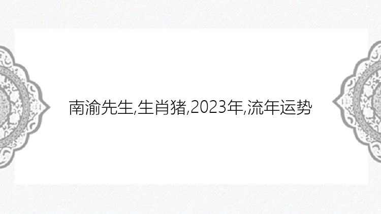 南渝先生,生肖猪,2023年,流年运势