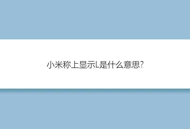 小米称上显示L是什么意思？