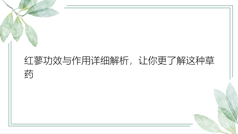 红蓼功效与作用详细解析，让你更了解这种草药