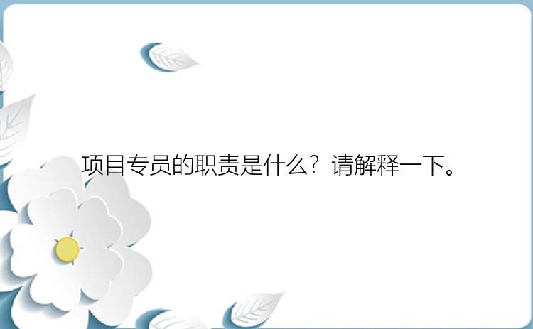 项目专员的职责是什么？请解释一下。