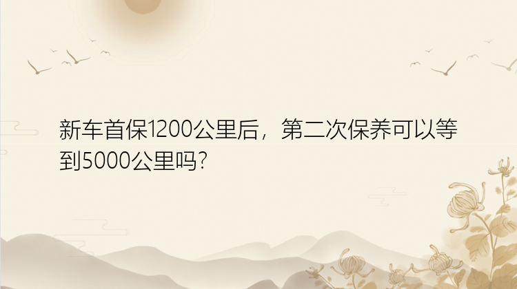 新车首保1200公里后，第二次保养可以等到5000公里吗？