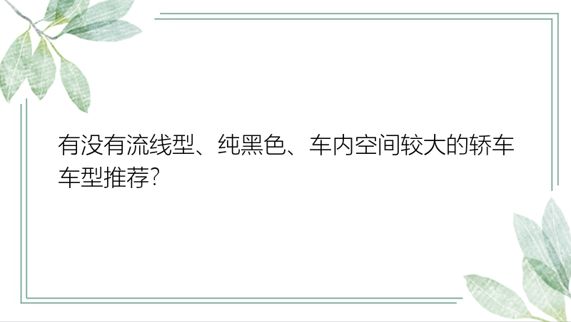 有没有流线型、纯黑色、车内空间较大的轿车车型推荐？