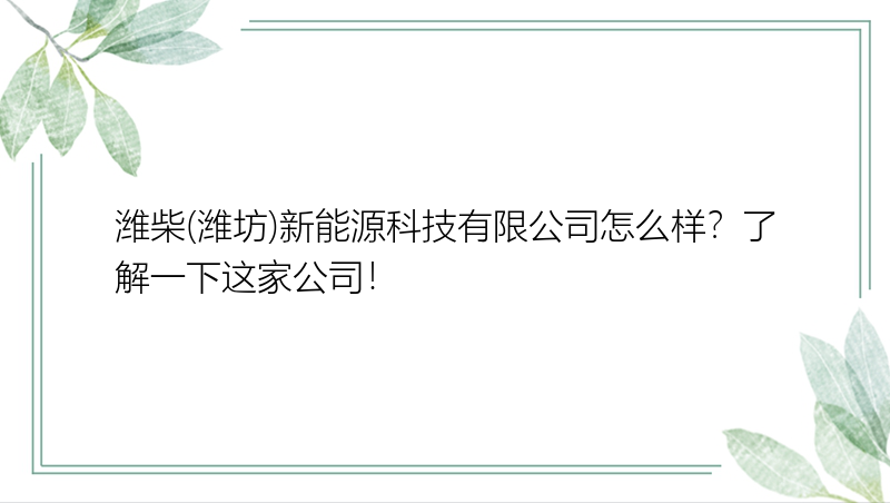 潍柴(潍坊)新能源科技有限公司怎么样？了解一下这家公司！