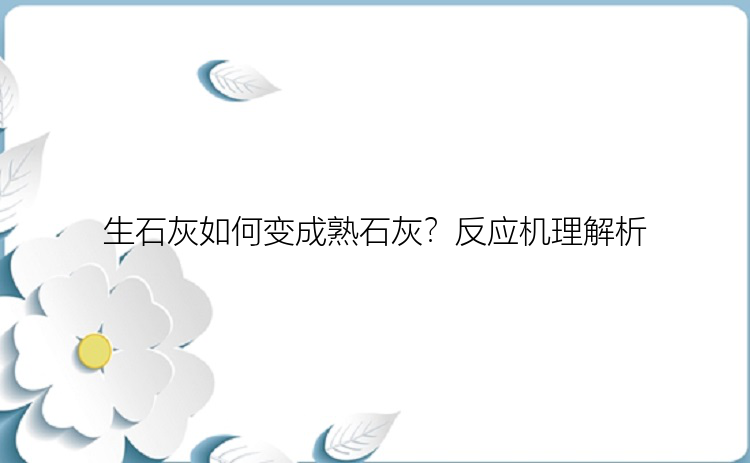 生石灰如何变成熟石灰？反应机理解析