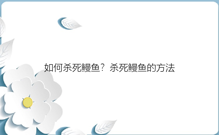 如何杀死鳗鱼？杀死鳗鱼的方法