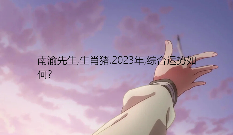 南渝先生,生肖猪,2023年,综合运势如何？