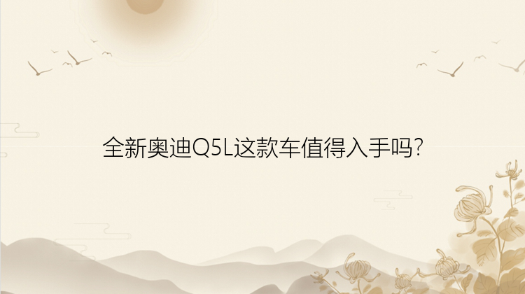 全新奥迪Q5L这款车值得入手吗？