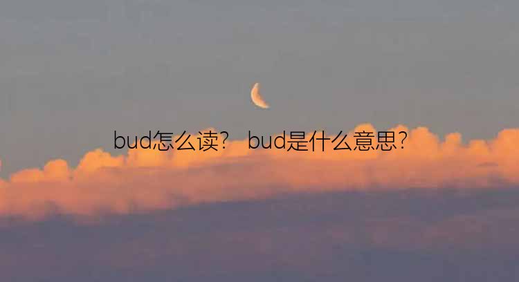 bud怎么读？ bud是什么意思？