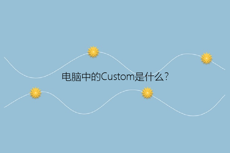 电脑中的Custom是什么？