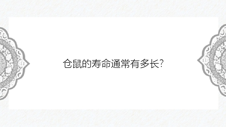 仓鼠的寿命通常有多长？