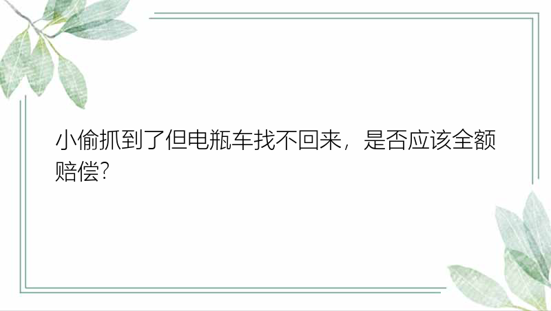 小偷抓到了但电瓶车找不回来，是否应该全额赔偿？