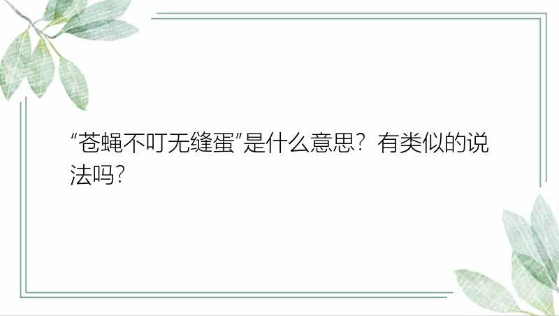 “苍蝇不叮无缝蛋”是什么意思？有类似的说法吗？