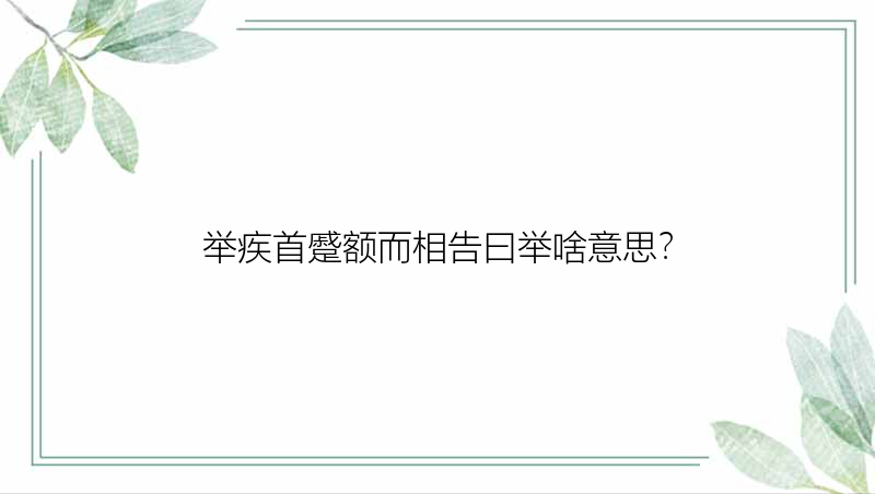 举疾首蹙额而相告曰举啥意思？