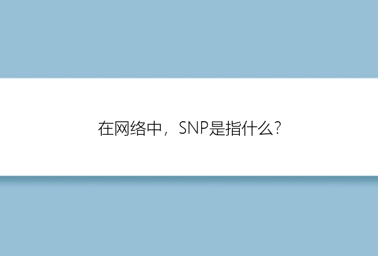 在网络中，SNP是指什么？