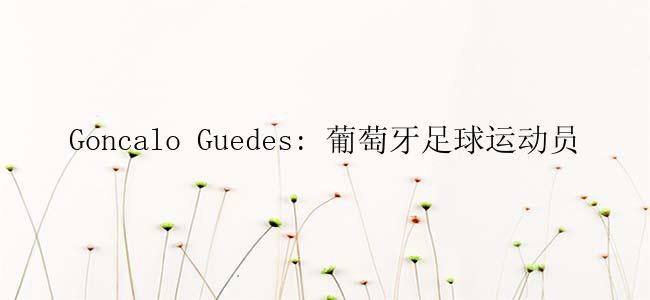 Goncalo Guedes: 葡萄牙足球运动员