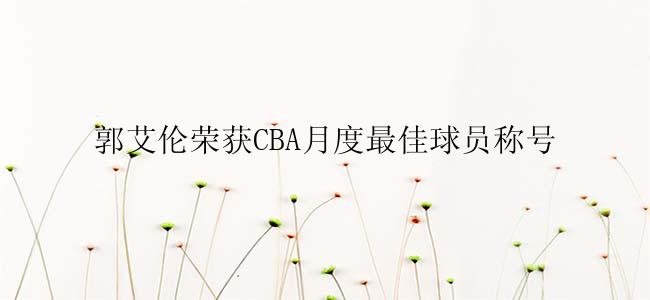 郭艾伦荣获CBA月度最佳球员称号