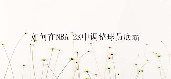 如何在NBA 2K中调整球员底薪