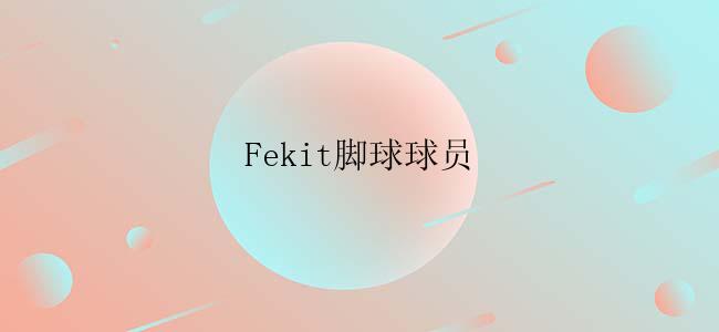 Fekit脚球球员