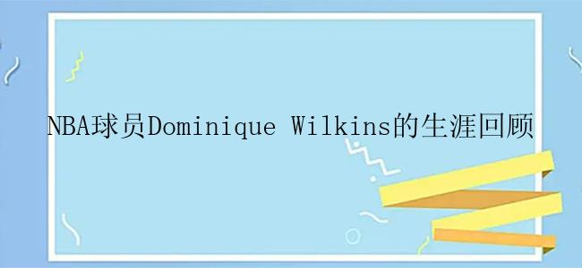 NBA球员Dominique Wilkins的生涯回顾