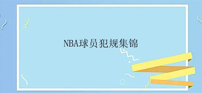 NBA球员犯规集锦