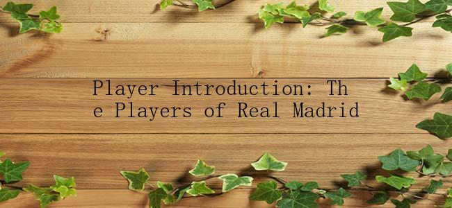 Player Introduction: The Players of Real Madrid