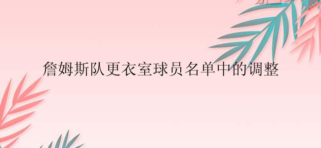 詹姆斯队更衣室球员名单中的调整