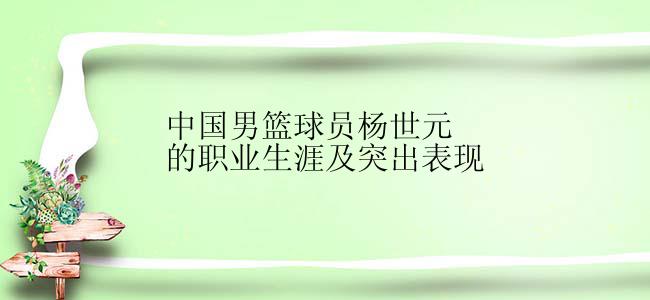 中国男篮球员杨世元的职业生涯及突出表现