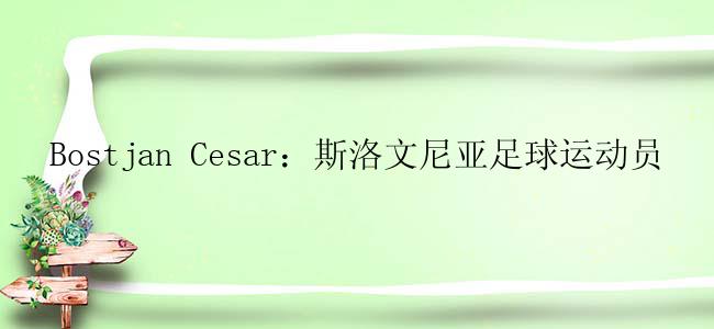 Bostjan Cesar：斯洛文尼亚足球运动员