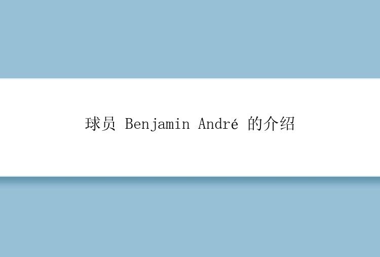 球员 Benjamin André 的介绍