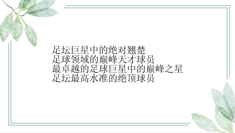 足坛巨星中的绝对翘楚
足球领域的巅峰天才球员
最卓越的足球巨星中的巅峰之星
足坛最高水准的绝顶球员