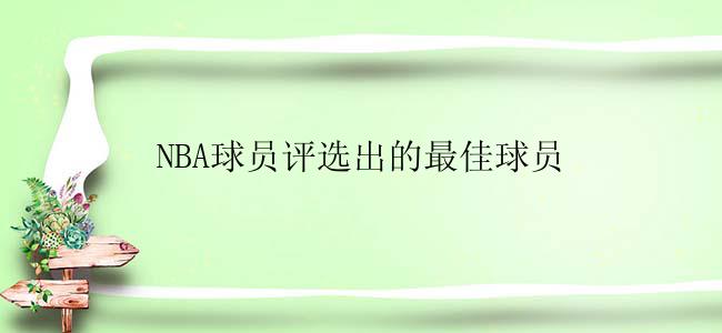 NBA球员评选出的最佳球员