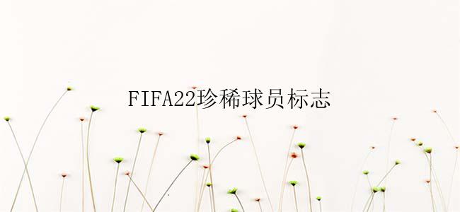 FIFA22珍稀球员标志