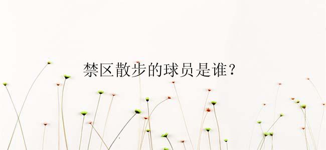 禁区散步的球员是谁？