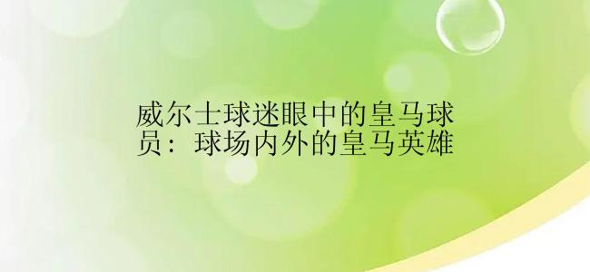 威尔士球迷眼中的皇马球员: 球场内外的皇马英雄