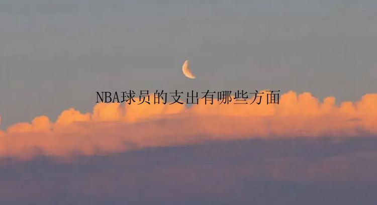 NBA球员的支出有哪些方面