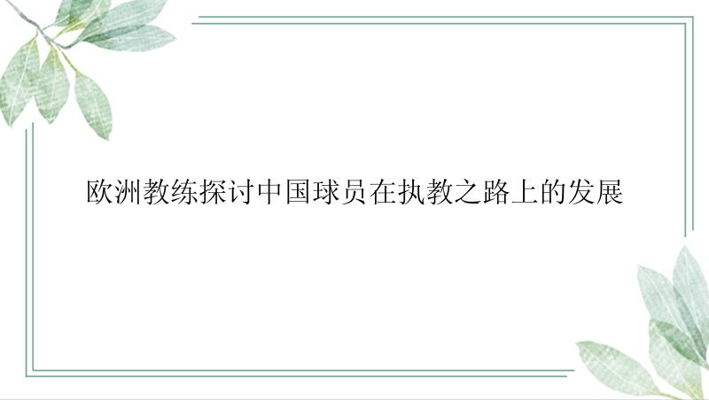 欧洲教练探讨中国球员在执教之路上的发展