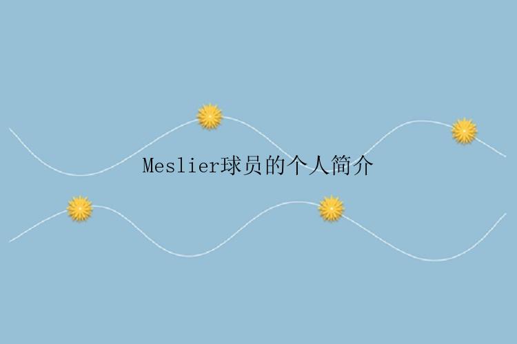 Meslier球员的个人简介