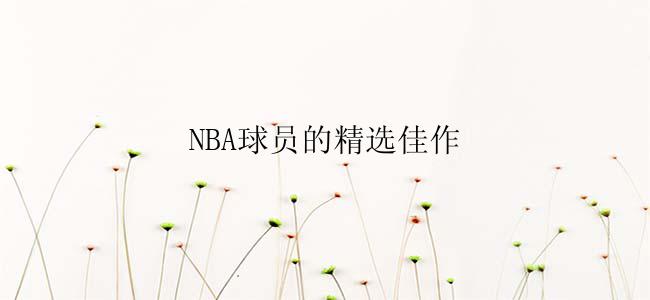 NBA球员的精选佳作