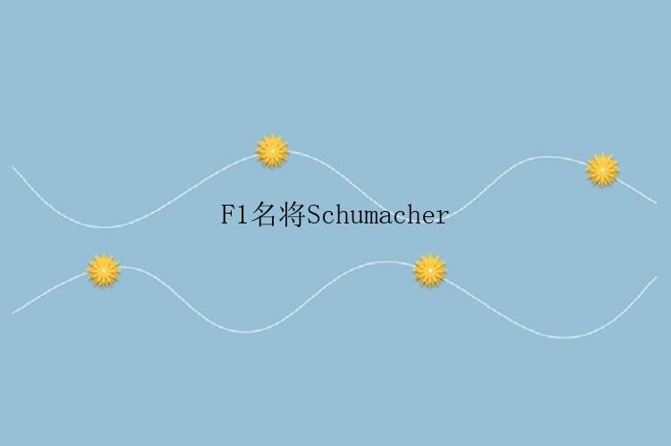 F1名将Schumacher