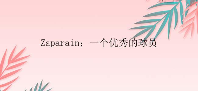 Zaparain：一个优秀的球员