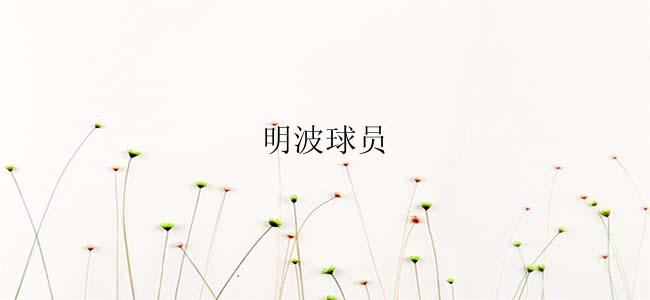 明波球员