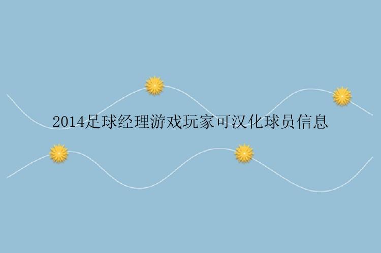 2014足球经理游戏玩家可汉化球员信息