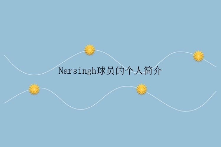 Narsingh球员的个人简介