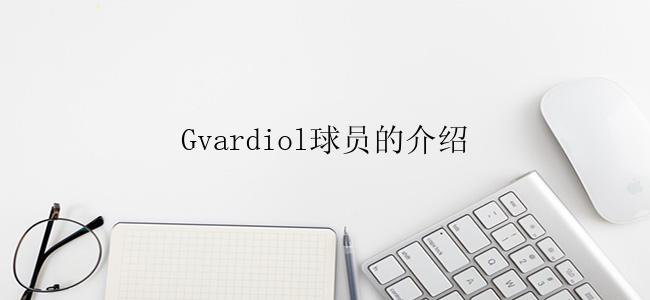 Gvardiol球员的介绍