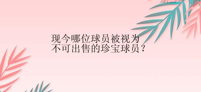 现今哪位球员被视为不可出售的珍宝球员？