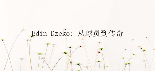 Edin Dzeko: 从球员到传奇